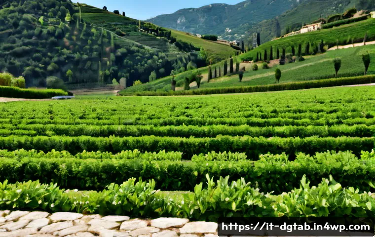 Come analizzare il flusso di valore degli asset digitali: metriche, rischi e strumenti da scegliere 4 디지털 자산의 가치 흐름 분석 관련 이미지 2